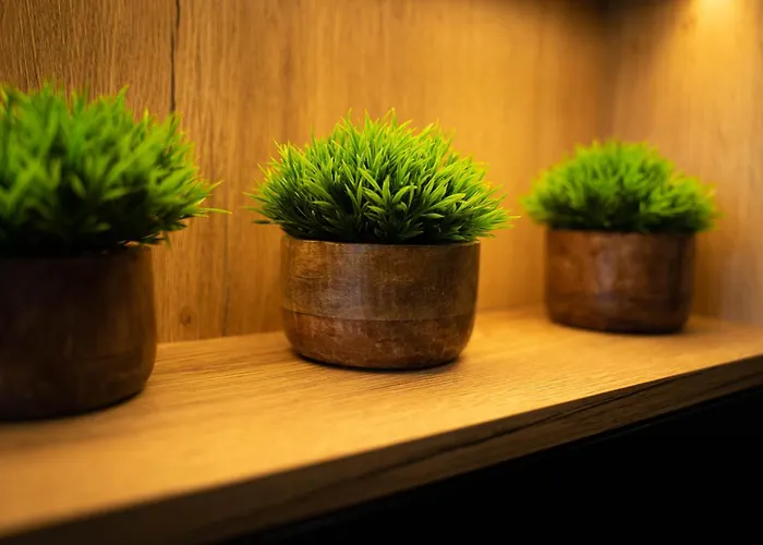 Pillow House Montibus 빌라 *